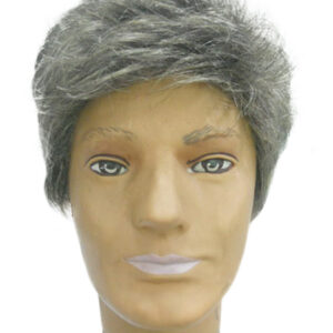 Wig Set for Young Men
