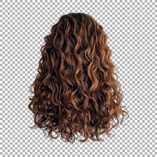 Wavy Curly Hair Extensions